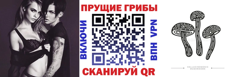Купить где  Осинники  Галлюциногенные грибы Magic Shrooms 